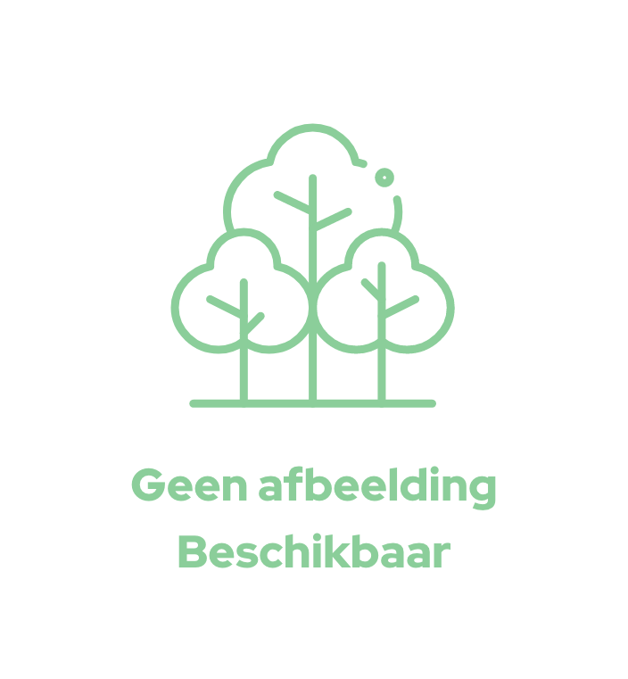 Boompalenset 2,5m (incl. boomband en nagels)