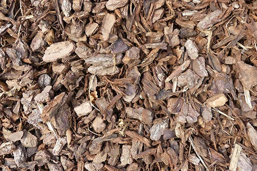 Zeedenschors 20-40 MM