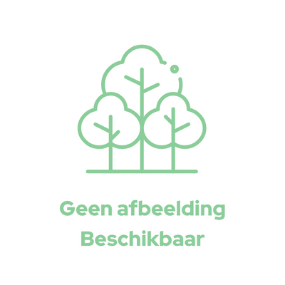 Appelbes | Aronia melanocarpa