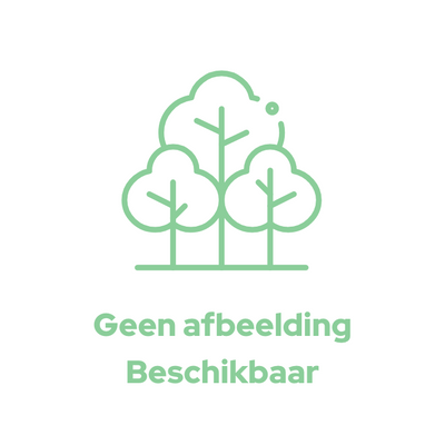 Bijenboom | Tetradium daniellii