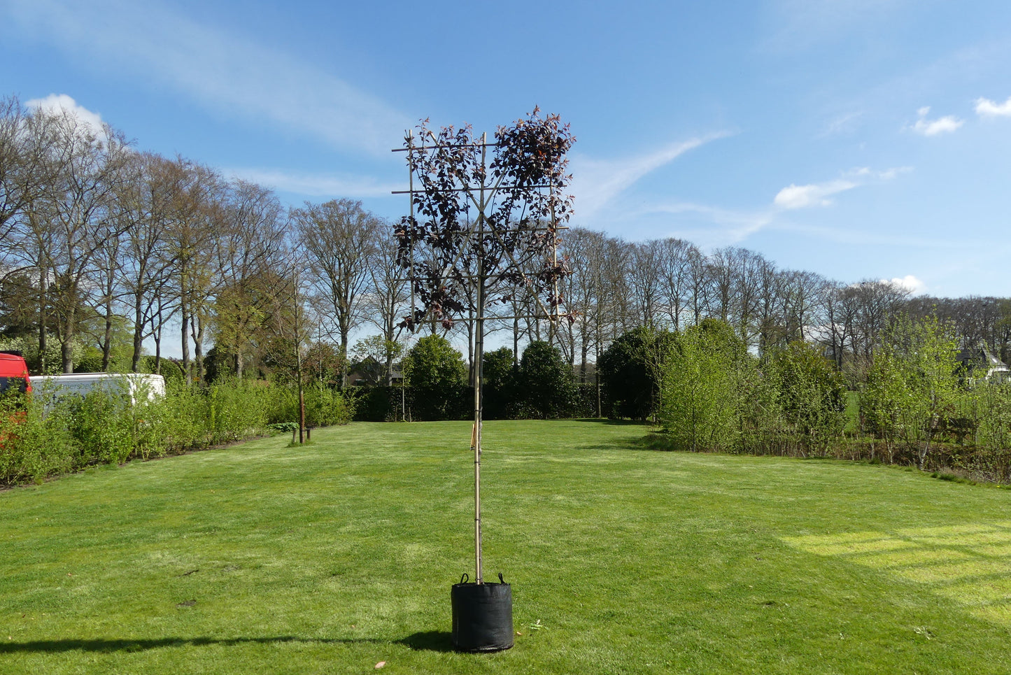 Kersboom leiboom